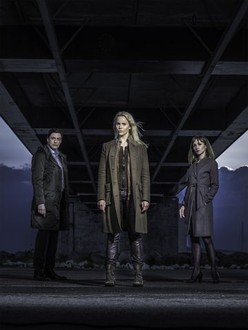 The Bridge Season 3 Rotten Tomatoes
