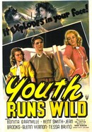 Youth Runs Wild poster image