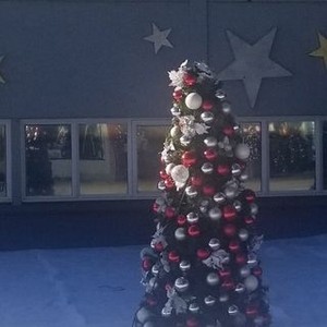 A Christmas Tree Grows in Colorado (2020) photo 3