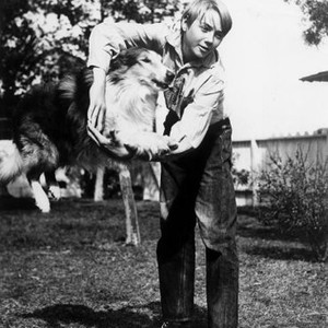 Claude Jarman Jr. - Rotten Tomatoes