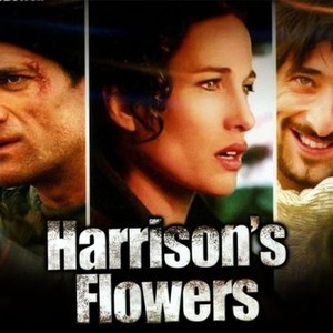 Harrison's Flowers photo 19