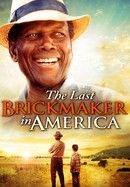 The Last Brickmaker in America poster image