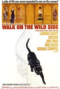Watch trailer for Walk on the Wild Side