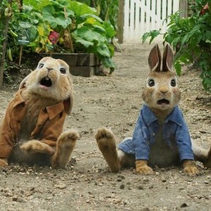 Peter Rabbit - Rotten Tomatoes