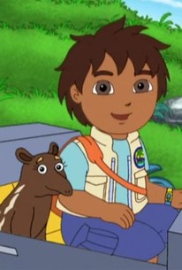 Go, Diego, Go!: Season 2, Episode 12 | Rotten Tomatoes