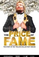 The Price of Fame poster image