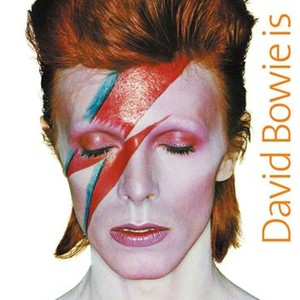 David Bowie Is photo 2