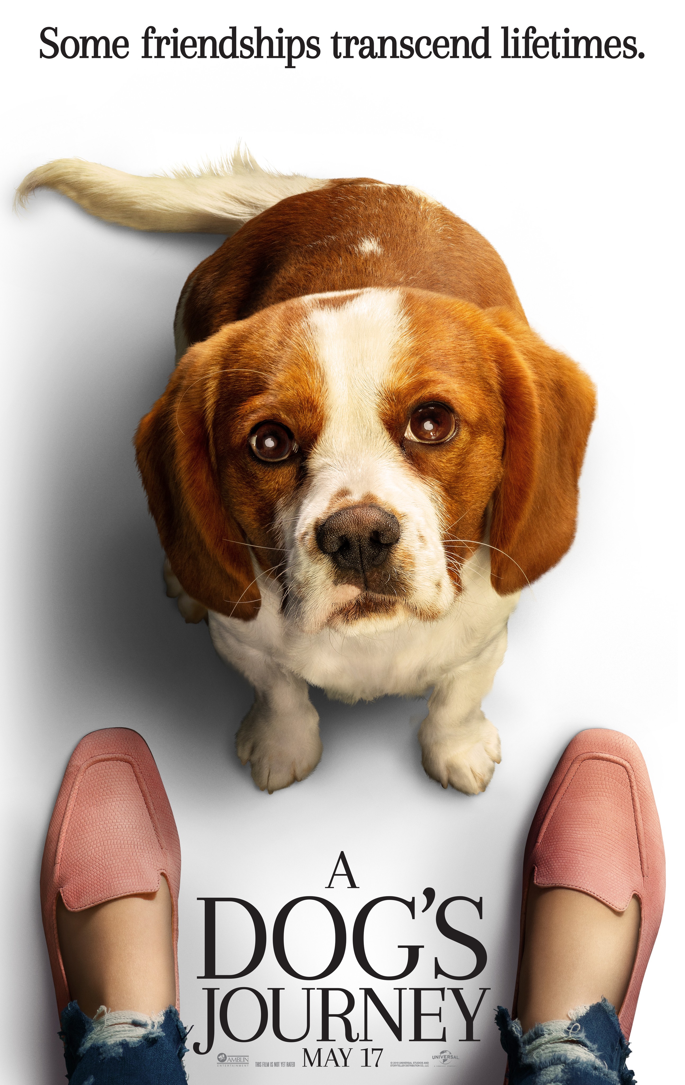 A dog's best sale journey fmovies