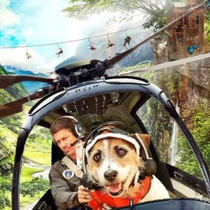 A Doggone Hollywood photo 2