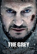 The Grey poster image