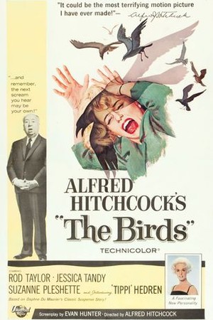 The Birds poster