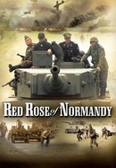 Red Rose of Normandy poster image