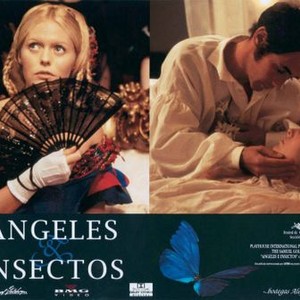 ANGELS AND INSECTS, Patsy Kensit (left), Mary Rylance, Patsy Kensit (right), 1995, (c) Samuel Goldwyn