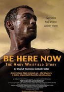 Be Here Now (The Andy Whitfield Story) poster image
