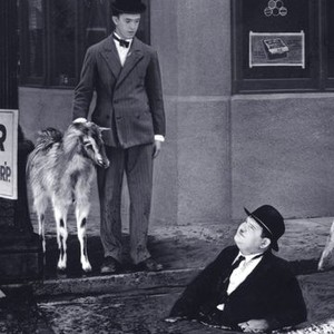 The Further Perils of Laurel and Hardy (1967) photo 7