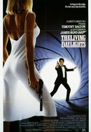 The Living Daylights poster image
