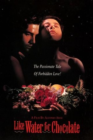 Like Water for Chocolate poster