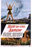 Run of the Arrow poster image
