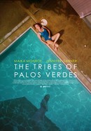 The Tribes of Palos Verdes poster image