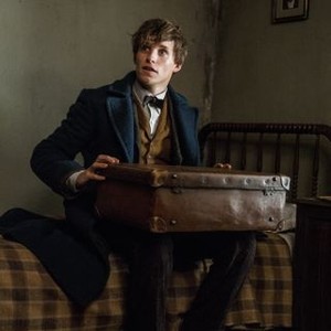 Fantastic Beasts and Where to Find Them photo 19