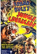 Jungle Cavalcade poster image