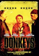 Donkeys poster image