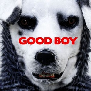 Good Boy | Rotten Tomatoes