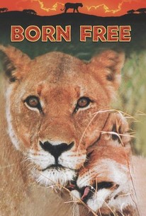 Born Free | Rotten Tomatoes
