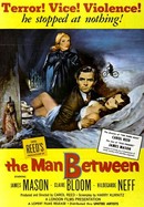 The Man Between poster image
