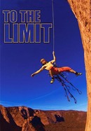 To the Limit poster image