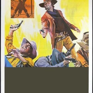 Arizona Colt Returns photo 8