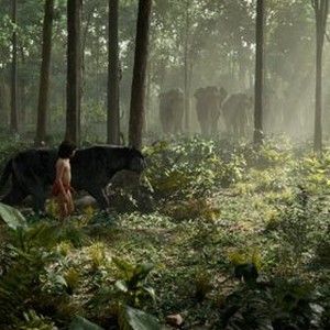The Jungle Book photo 6