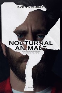 Nocturnal Animals - Rotten Tomatoes