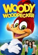 Woody Woodpecker poster image