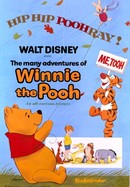The Many Adventures of Winnie the Pooh poster image