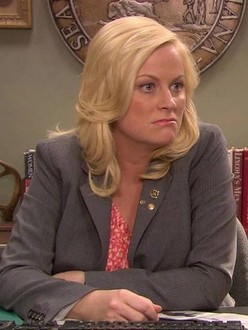 Parks and Recreation Season 1 Episode 2 Rotten Tomatoes