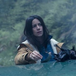 Black Spot - Rotten Tomatoes