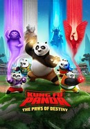 Kung Fu Panda: The Paws of Destiny poster image