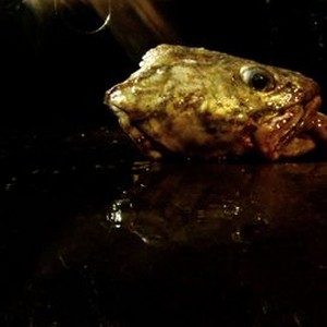 "Leviathan photo 18"