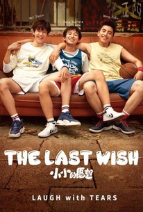 movie review the last wish