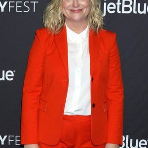 Amy Poehler at arrivals for PaleyFest LA 2019 NBC Parks and Recreation 10th Anniversary Reunion, The Dolby Theatre at Hollywood and Highland Center, Los Angeles, CA March 21, 2019. Photo By: Priscilla Grant/Everett Collection
