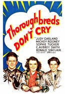 Thoroughbreds Don't Cry poster image