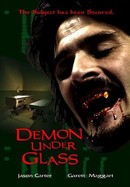 Demon Under Glass poster image