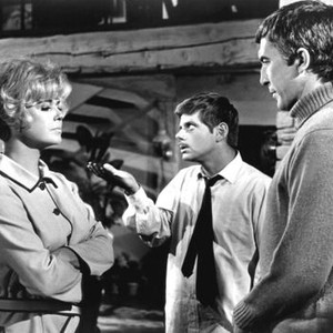 WHERE WERE YOU WHEN THE LIGHTS WENT OUT?, from left: Doris Day, Robert Morse, Patrick O'Neal, 1968