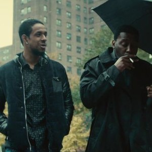 Exposed Rotten Tomatoes