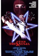 Enter the Ninja poster image