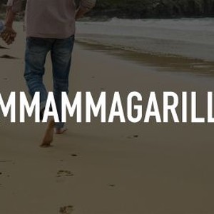 Ammammagarillu photo 4