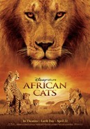 African Cats poster image