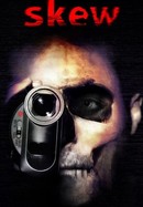 Skew poster image