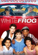 White Frog poster image